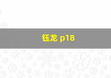 钰龙 p18